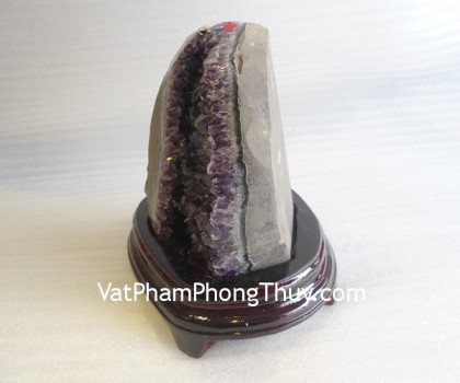 Bong-thach-anh-H082-8446