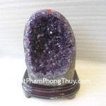 Bong-thach-anh-tim-H082-11566-02