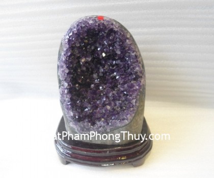 Bong-thach-anh-tim-H082-11566-02