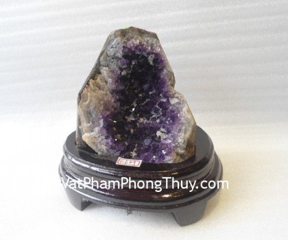 Bong-thach-anh-tim-H082-1656-02