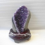 Bong-thach-anh-tim-H082-2030-02