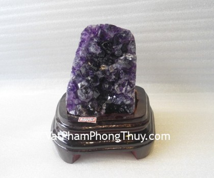 Bong-thach-anh-tim-H082-2270-02