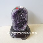 Bong-thach-anh-tim-H082-2347-02