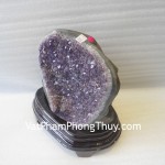 Bong-thach-anh-tim-H082-2387