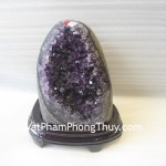 Bong-thach-anh-tim-H082-9547-02