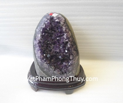 Bong-thach-anh-tim-H082-9547-02