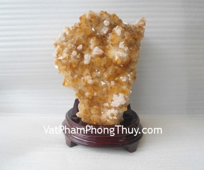 Bong-thach-anh-vang-H084-13260-02