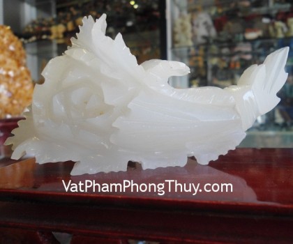 M162-Cai-phat-tai-bach-ngoc-nho-1