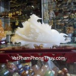 M163-Cai-phat-tai-bach-ngoc-lon-1