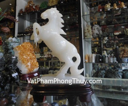 M165-Ngua-bach-ngoc-lon-2