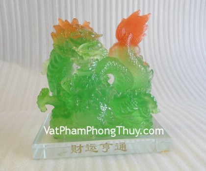 Rong-om-bap-cai-A145