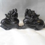 Ty-Huu-hac-nga-H010-02