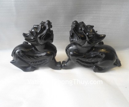 Ty-Huu-hac-nga-H010-02