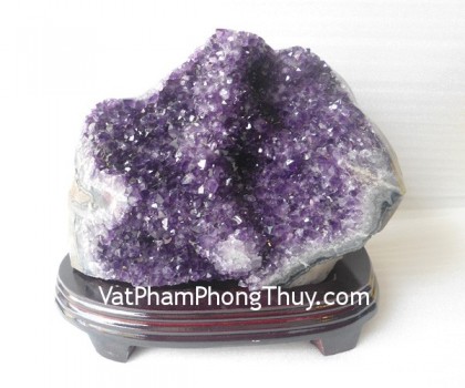 Bong-thach-anh-tim-H082-25337-02