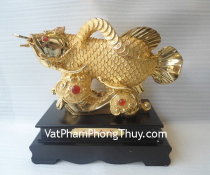 Ca-kim-long-trung-A195-02