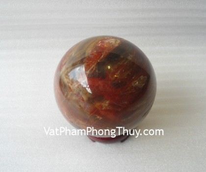 Cau-da-hong-van-M193-2865