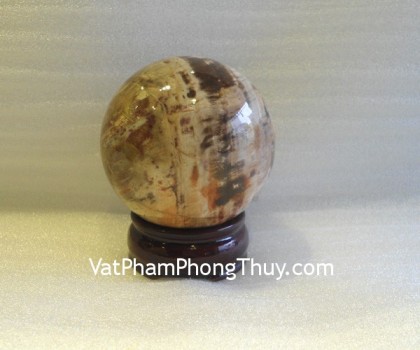 Cau-da-hong-van-M194-2171