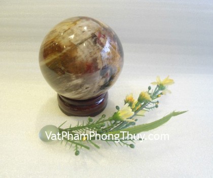 Cau-da-hong-van-M194-2353-02