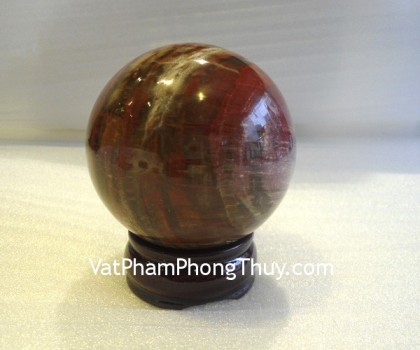 Cau-da-hong-van-M194-2497