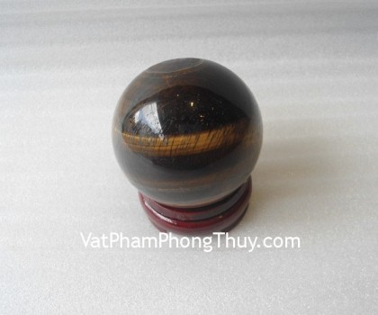 Cau-da-mat-meo-M183-1176