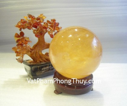 Cau-thach-anh-vang-M191-2164-01