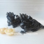 TH-tieu-ngoc-den-trung-M003-1