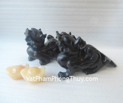 TH-tieu-ngoc-den-trung-M003-1