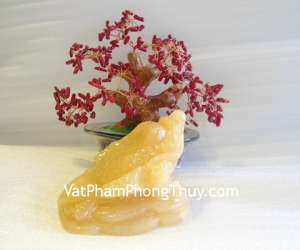 Thiem-thu-hoang-long-H035-01