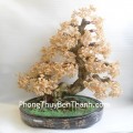 ca201-cay-thach-anh-vang-chau-tron