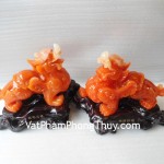 A083-Cap-ty-huu-cam-2