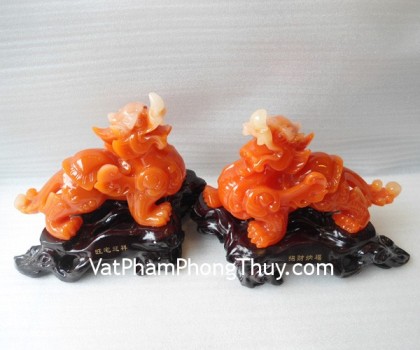 A083-Cap-ty-huu-cam-2