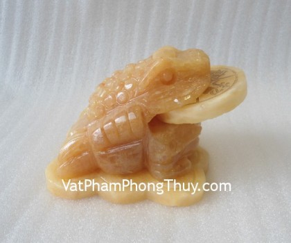 Thiem-thu-hoang-long-nho-H022-02