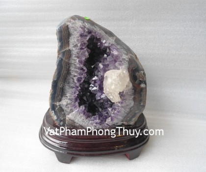 Bong-thach-anh-tim-H083-6895-2