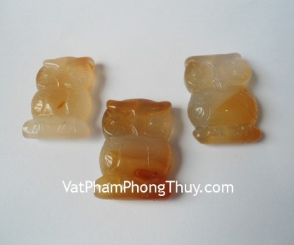 Cu-meo-ngoc-tuy-S5018-4-1