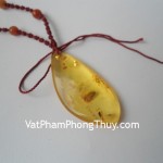 Mat-ho-phach-S5007-2494-2