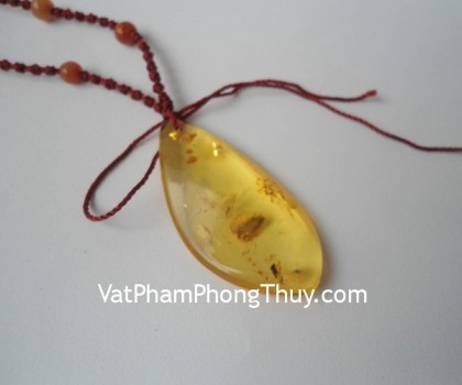 Mat-ho-phach-S5007-2494-2