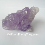 Thiem-thu-thach-anh-tim-H072-2