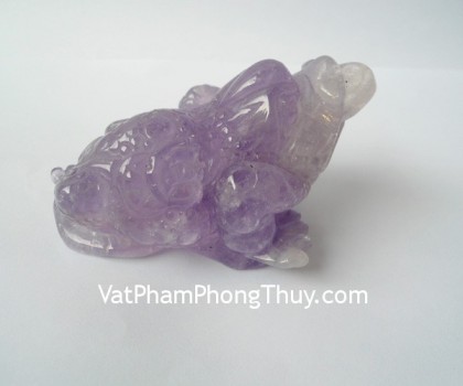 Thiem-thu-thach-anh-tim-H072-2