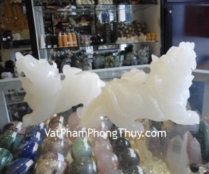 Ty-huu-cong-nhu-y-H003-1