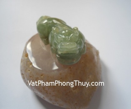 Ty-huu-phi-thuy-S2005-4962-1