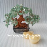 Cay-tai-loc-dong-linh-CA215-2