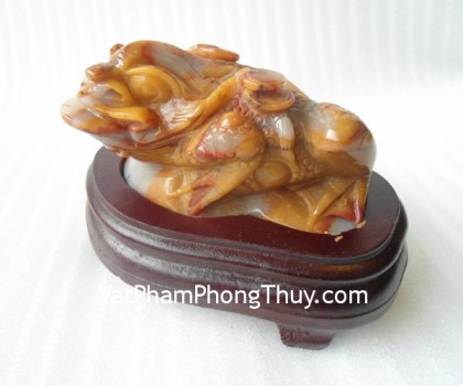 Thiem-thu-hoang-long-3883