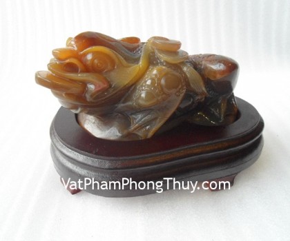 Thiem-thu-hoang-long-5091