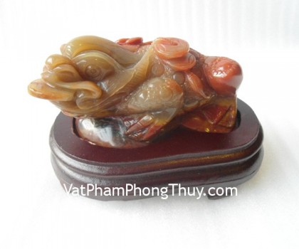 Thiem-thu-hoang-long-5142