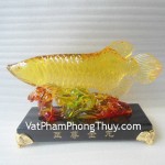 Ca-kim-long-luu-ly-E202