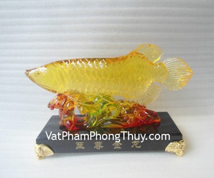 Ca-kim-long-luu-ly-E202