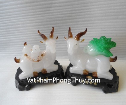 Cap-de-trang-H079G-02