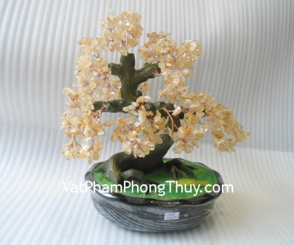 Cay-tai-loc-thach-anh-vang-CA228