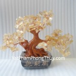 Cay-tai-loc-thach-anh-vang-nho-CA236