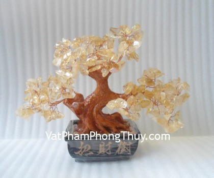 Cay-tai-loc-thach-anh-vang-nho-CA236